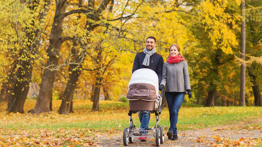 Comment organiser les sortis avec Bébé Loulou?