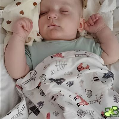 Couverture  bebe dort