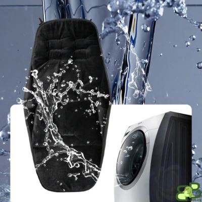 Chanceliere bebe noir