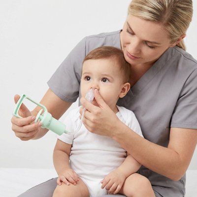 Mouche bébé menthe