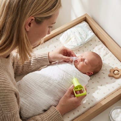 Mouche bébé vert maman