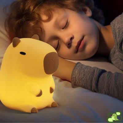 Veilleuse bebe garçon dort